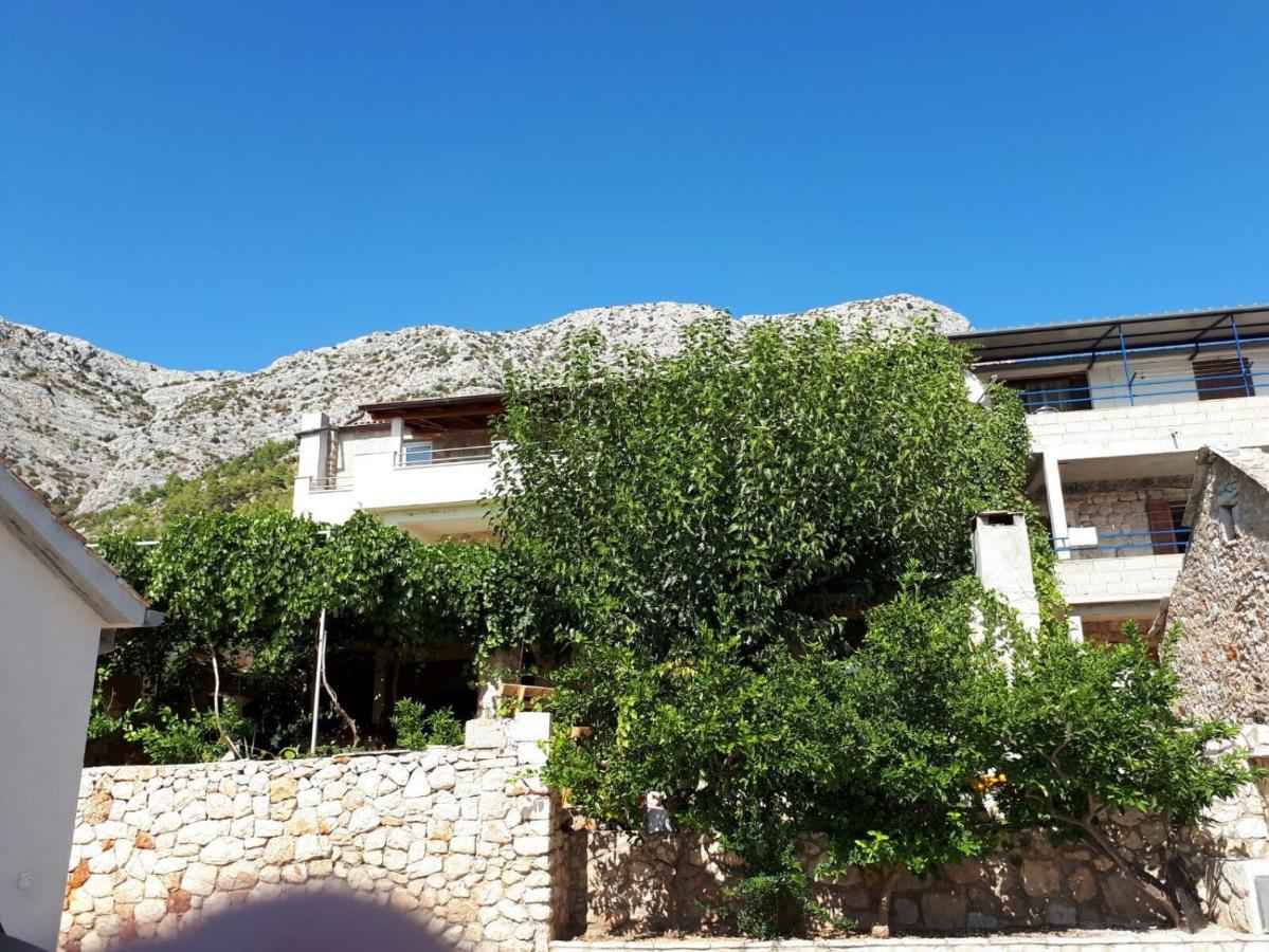 Apartments With A Parking Space Ivan Dolac, Hvar - 8753 Kültér fotó